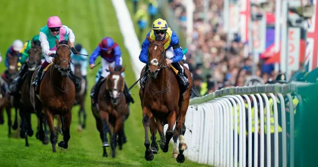 Steps to participate in horse racing betting