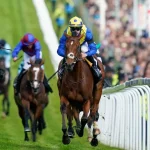 Steps to participate in horse racing betting